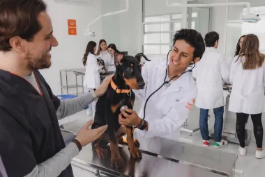 estudiantes de veterinaria en universidad anahuac
