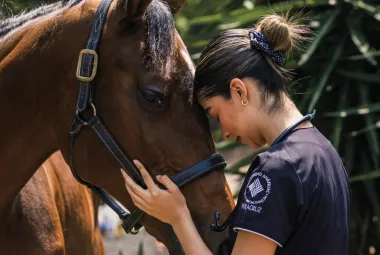 Estudiante de veterinaria zootecnia anahuac acariciando un caballo