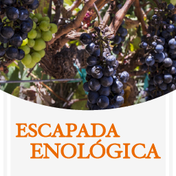 Escapada enológica
