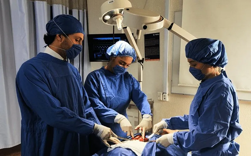 Licenciatura en Medicina