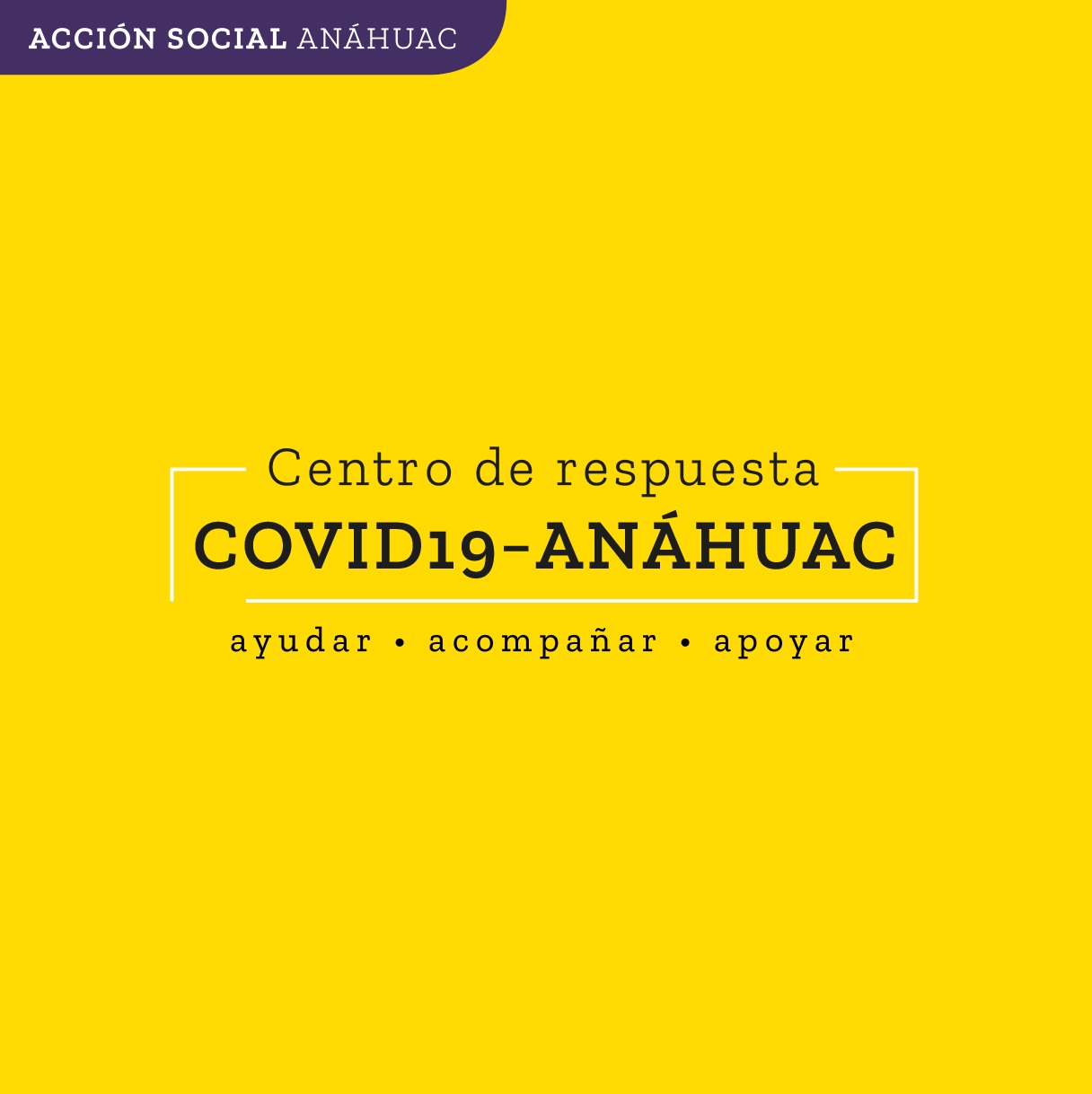 La Universidad Anáhuac Puebla continúa desarrollando nuevos programas para el Centro de Respuesta Covid-19 Anáhuac