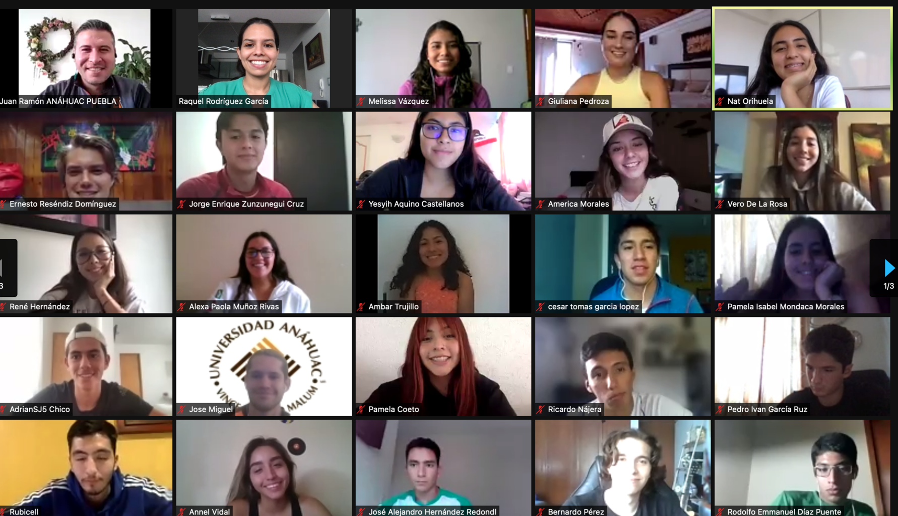 Integración virtual Leones Anáhuac