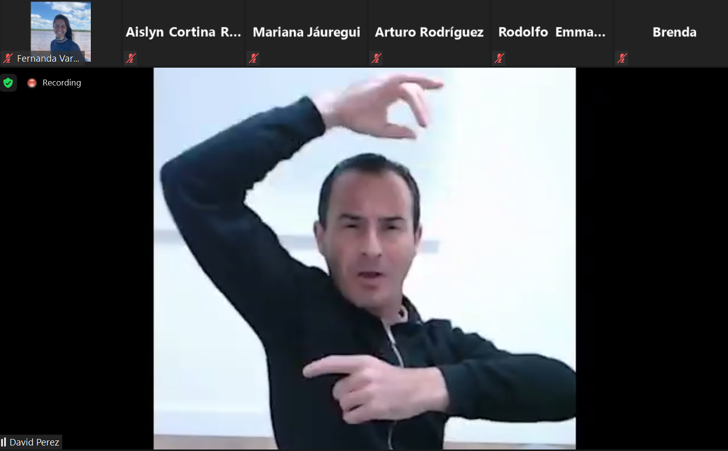 “El flamenco es la expresión de un pueblo”: David Pérez