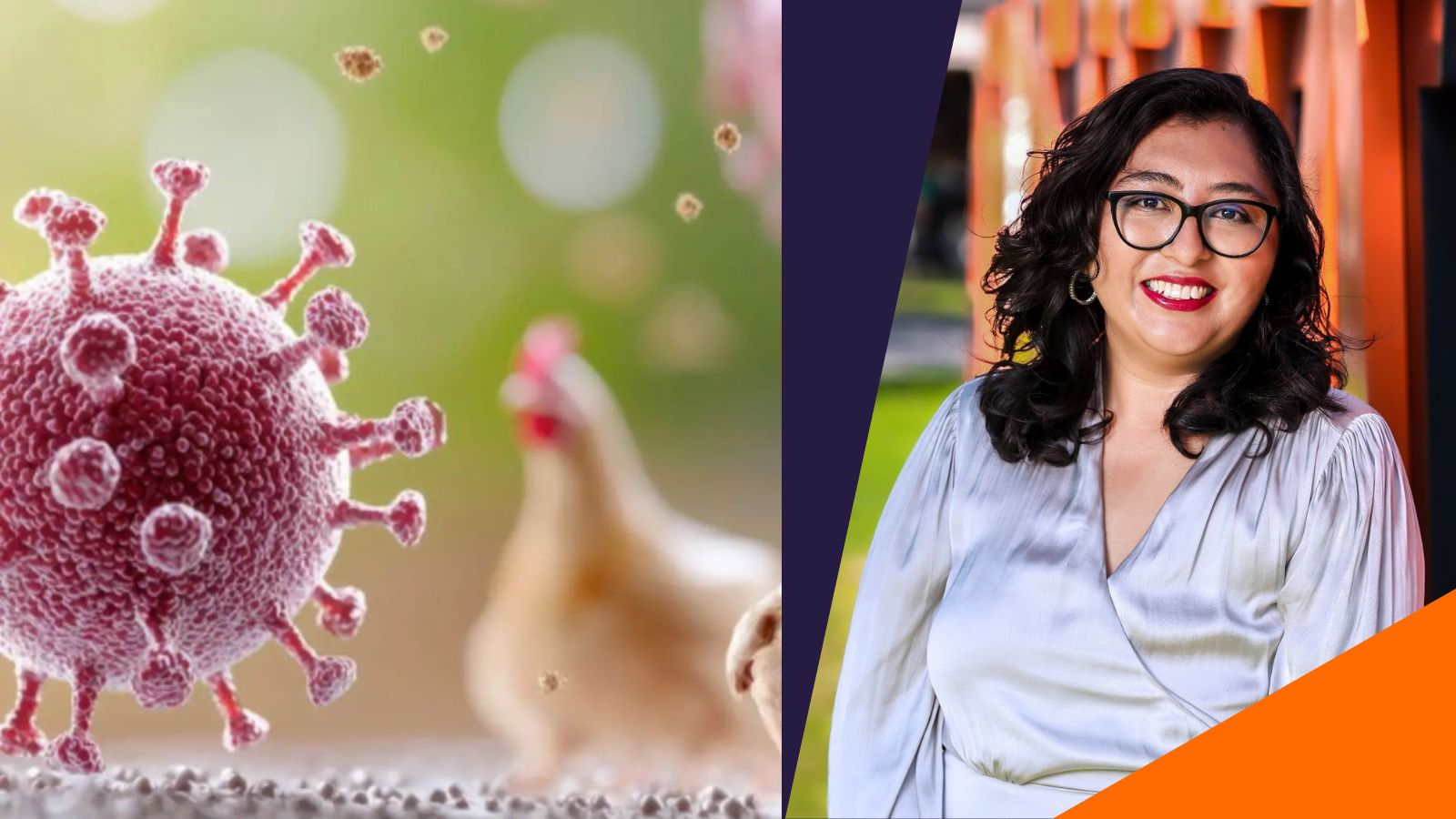 Gripe aviar (virus H5N1): qué sabemos y cómo actuar