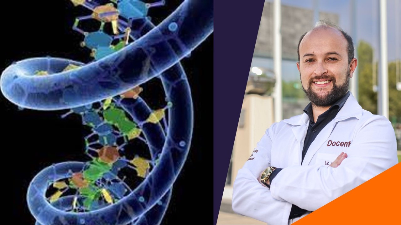Nutrición y errores innatos del metabolismo: una visión especializada
