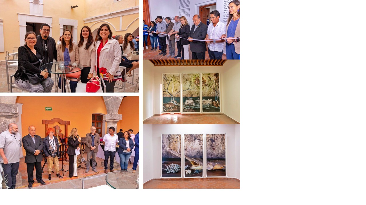 Destaca la participación de alumnos de la Anáhuac Puebla en la Exposición de Pleroma y Wee Ones