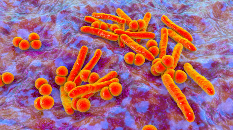 Día Mundial de la Tuberculosis