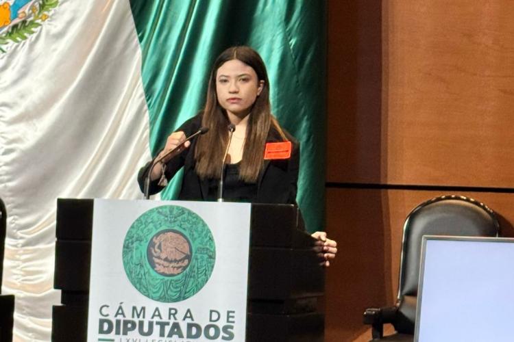 Cámara-de-diputados-Relaciones-Internacionales