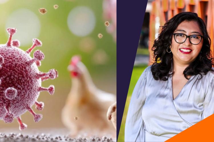 Gripe-aviar-Anáhuac-Puebla