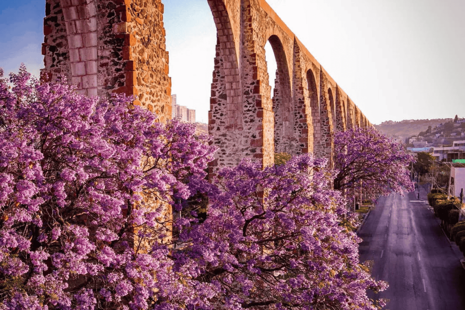 El acueducto Querétaro
