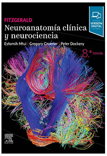 Neuroanatomía clínica y neurociencia.