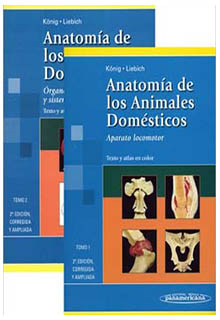 Anatomía de los animales domésticos: texto y atlas en color.