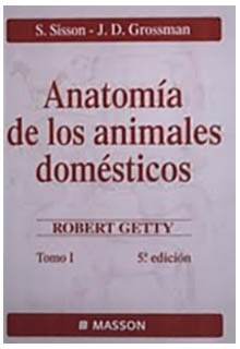 Anatomía de los animales domésticos: Sisson y Grossman.