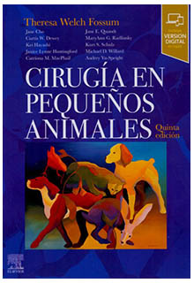 Cirugía en pequeños animales.