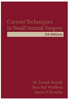 Current techniques in small animal surgery.