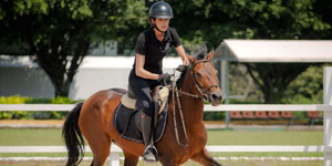 Servicios Profesionales