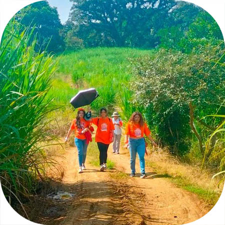 Caminata de Calicanto, Xalapa