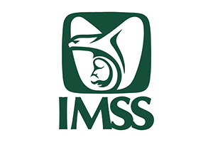 Instituto Mexicano del Seguro Social