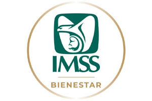 Instituto Mexicano del Seguro Social