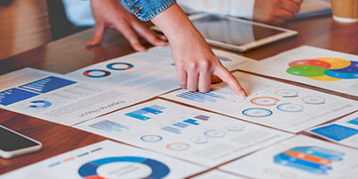 Servicios Profesionales