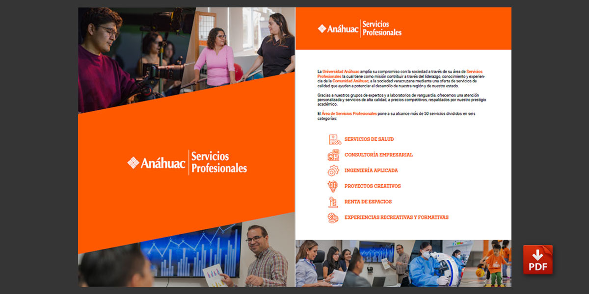 Folleto de Servicios Profesionales
