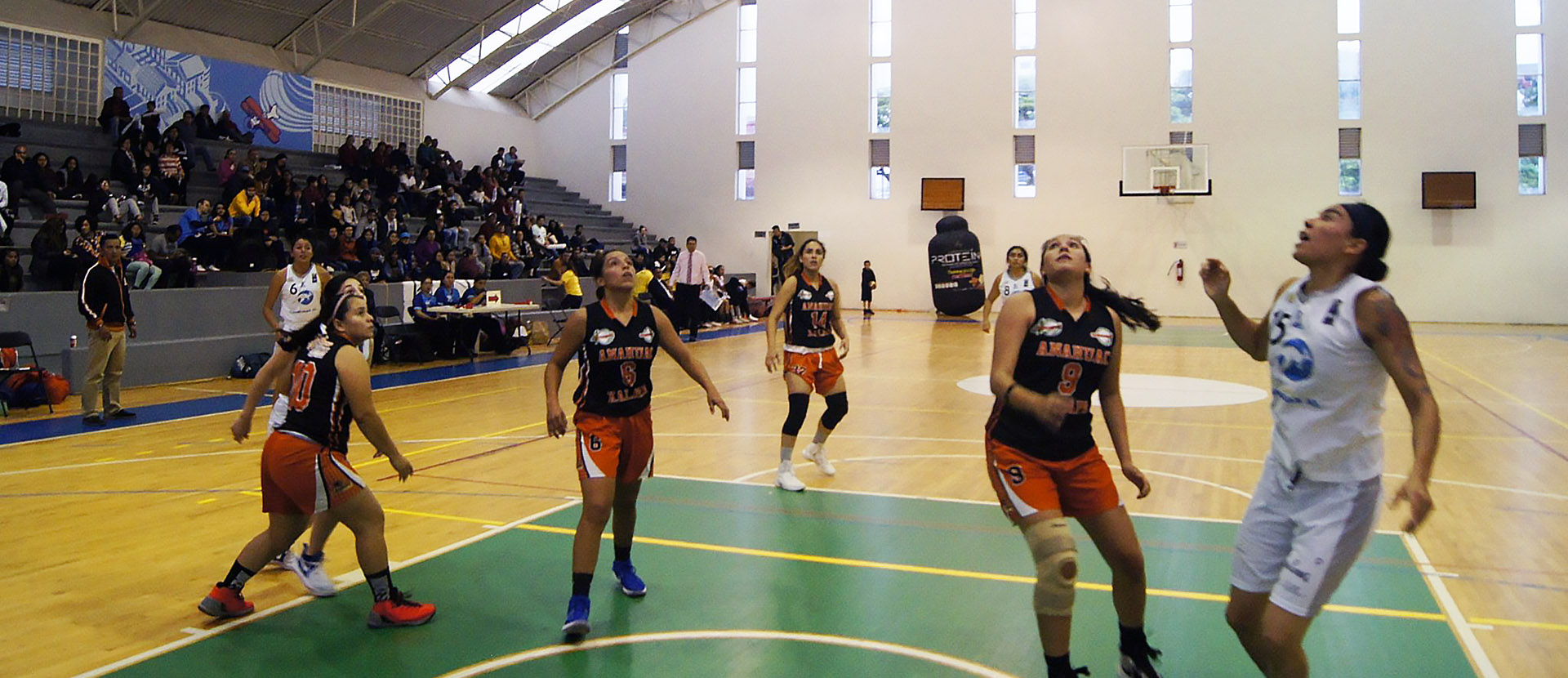 Encuentro Amistoso con Kanguras en Basquetbol