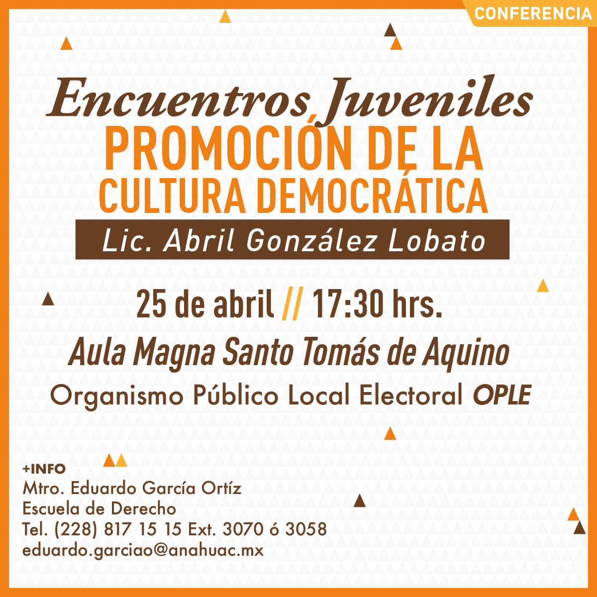 Promoción de la Cultura Democrática Promoción de la Cultura Democrática