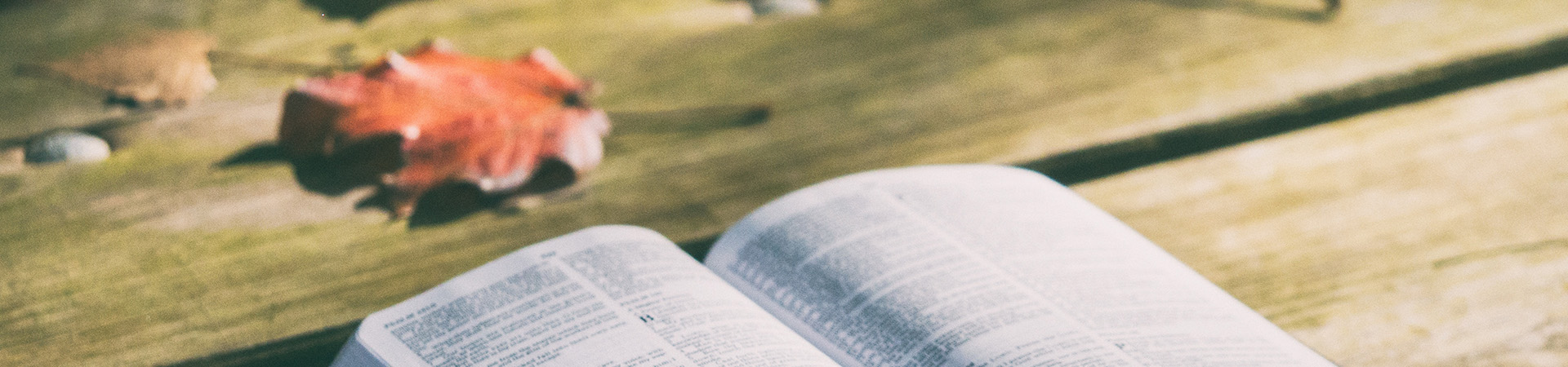 Adquisiciones de Biblioteca, Agosto 2017