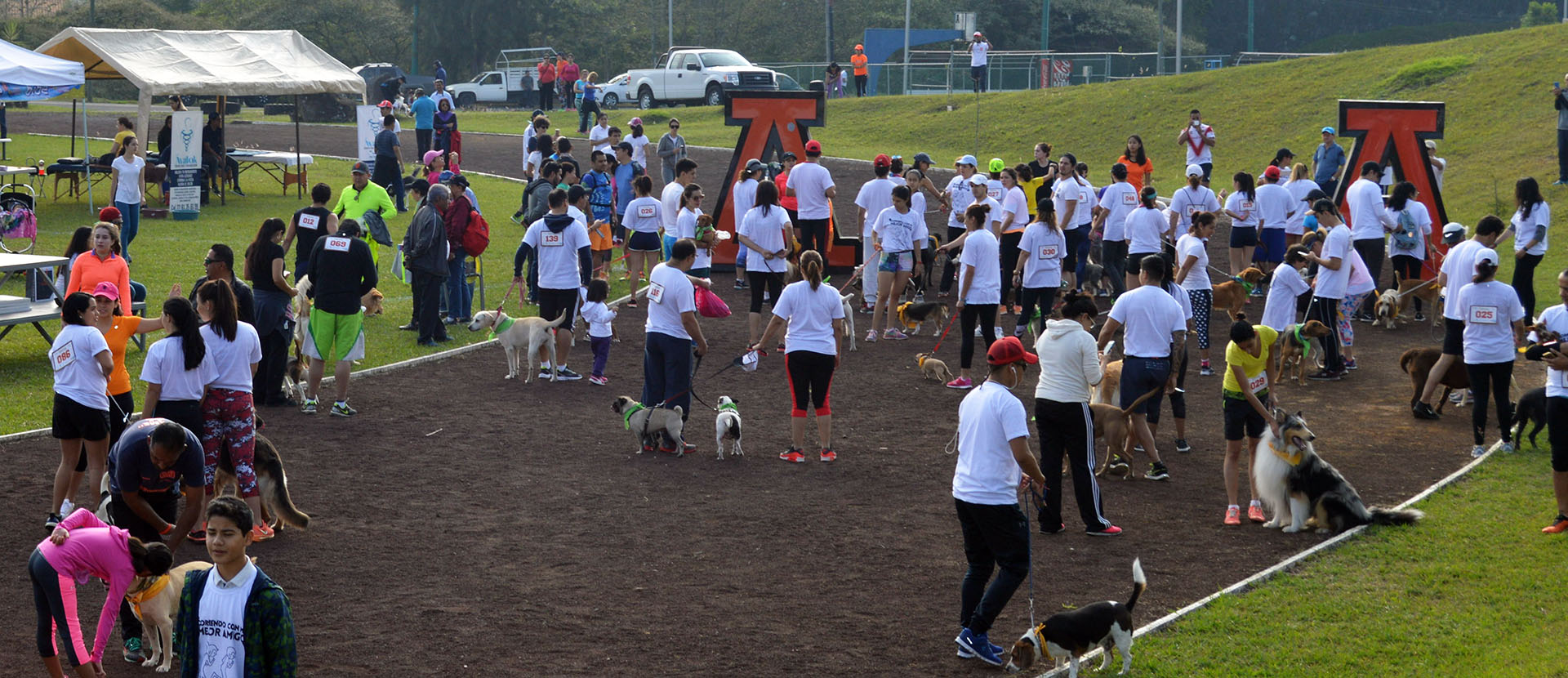 Corriendo con mi Mejor Amigo: Una Carrera con Causa