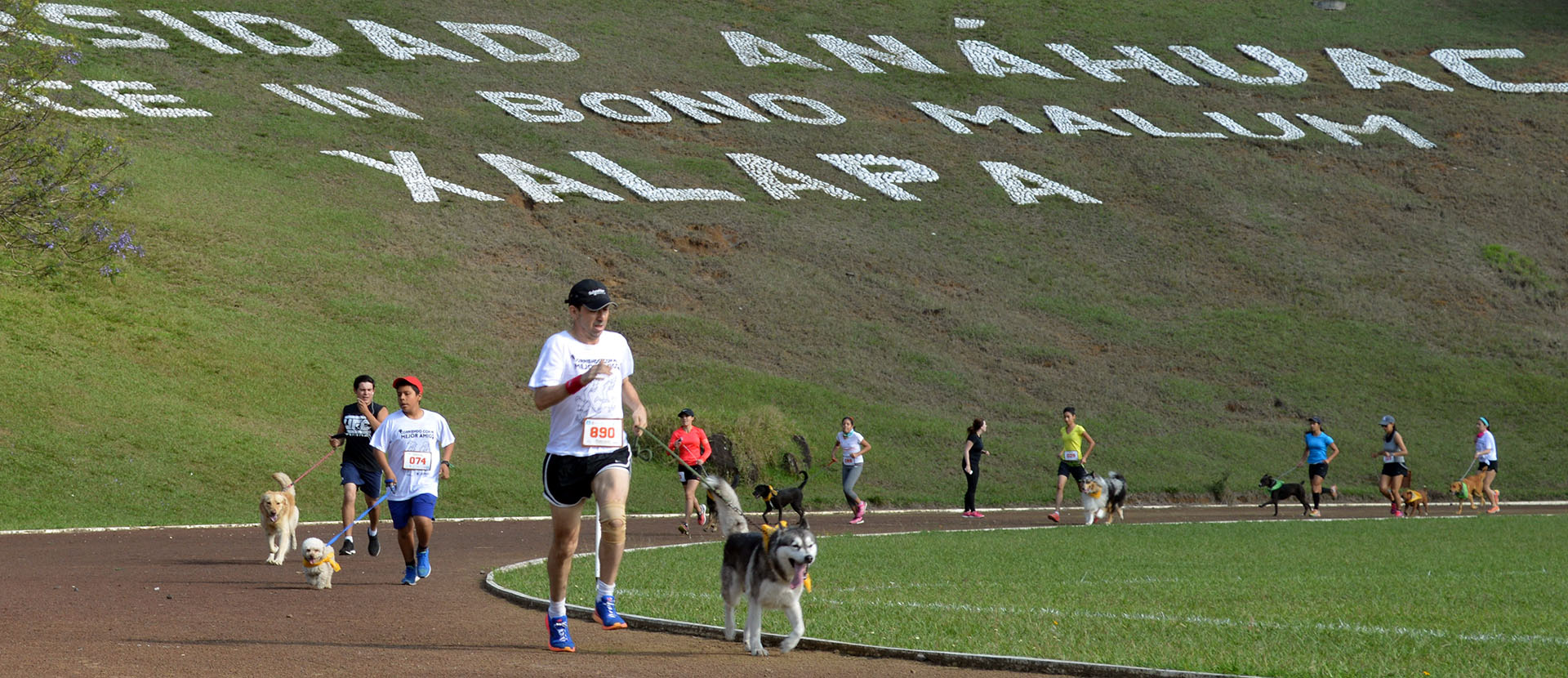 Corriendo con mi Mejor Amigo: Una Carrera con Causa