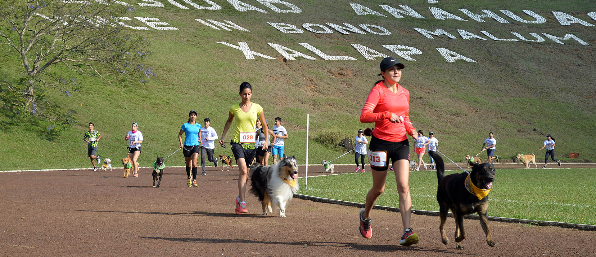 Corriendo con mi Mejor Amigo: Una Carrera con Causa