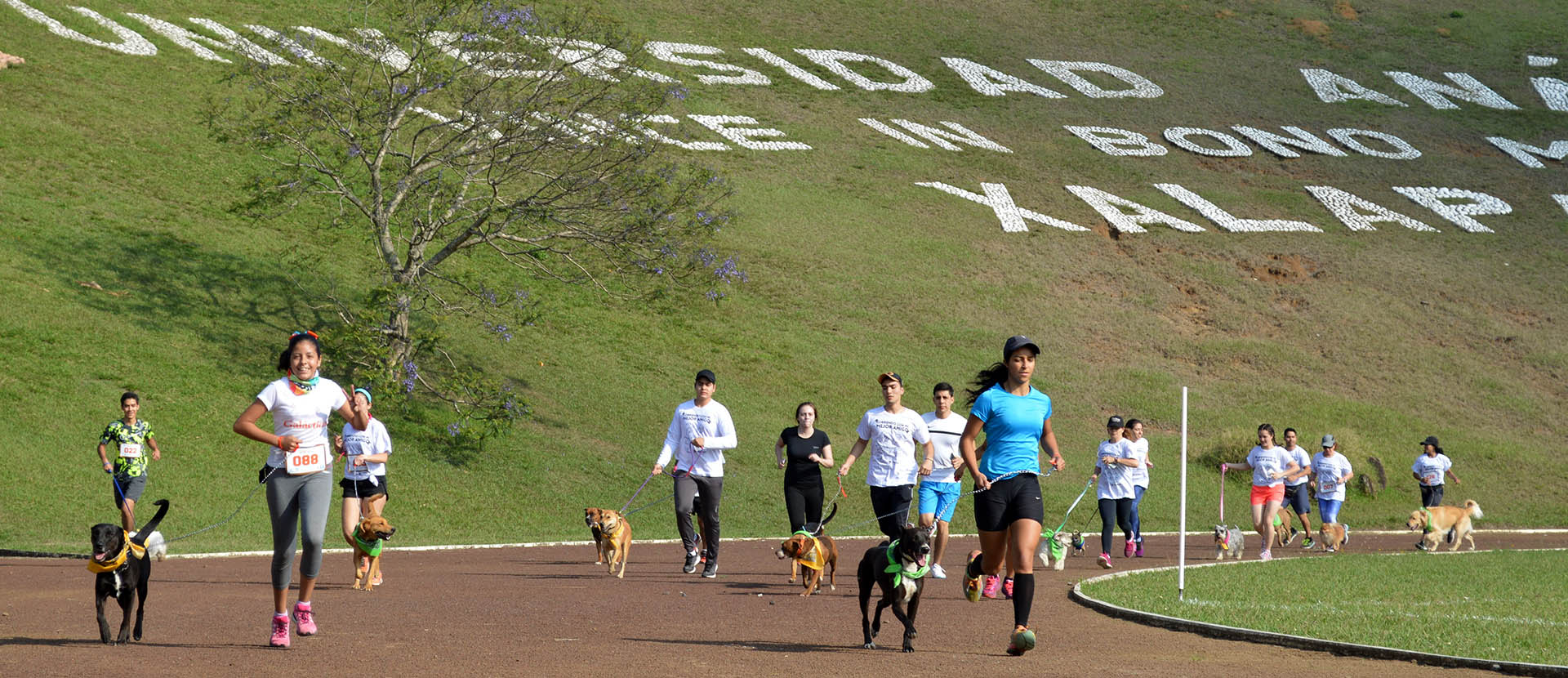Corriendo con mi Mejor Amigo: Una Carrera con Causa