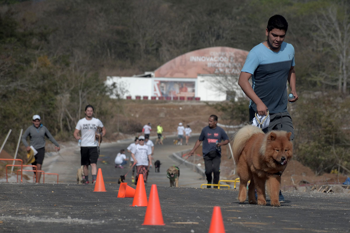 14 / 36 - Corriendo con mi Mejor Amigo: Una Carrera con Causa