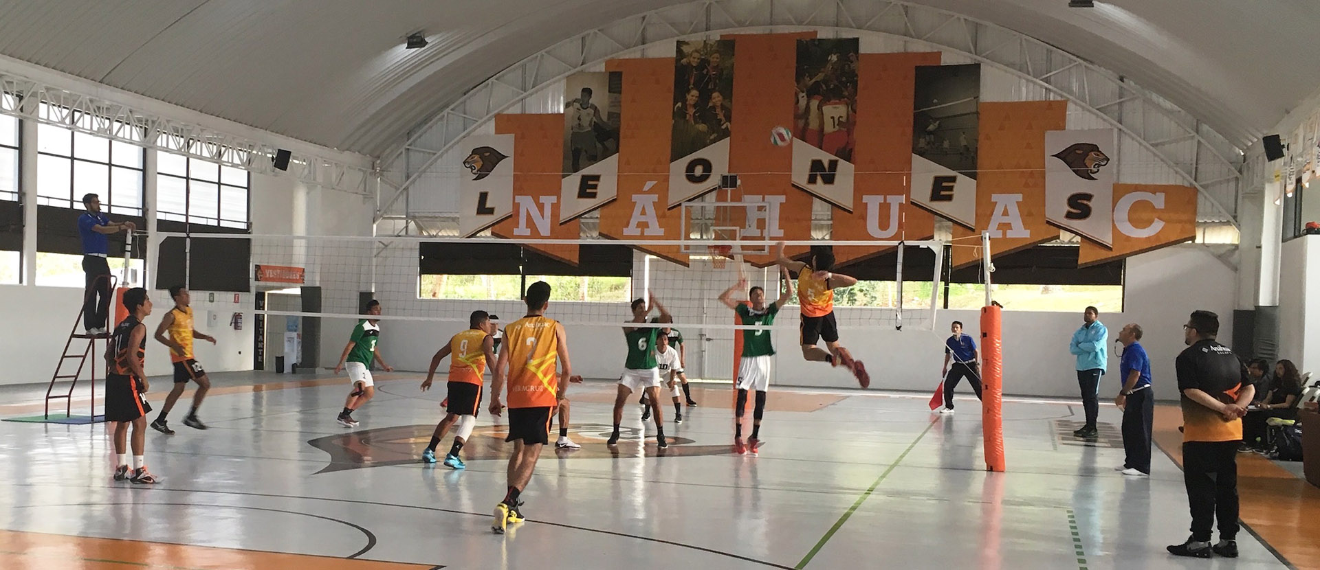 Leones triunfan en Regional de Voleibol