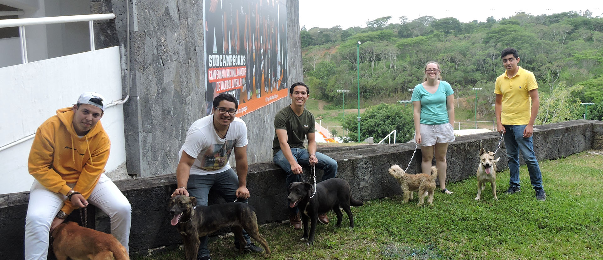 Grupo Ingenia en pro de la Vida Digna Animal Canina y Felina