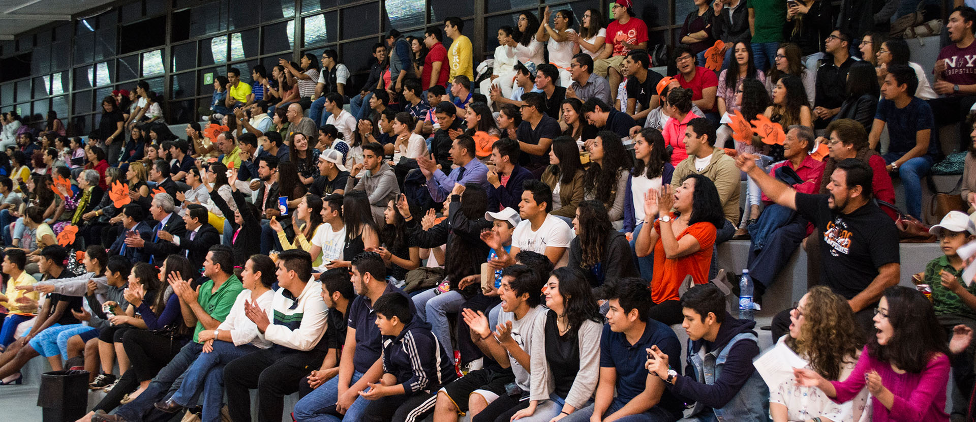 Leones de Basquetbol arrasan de nuevo contra la UV