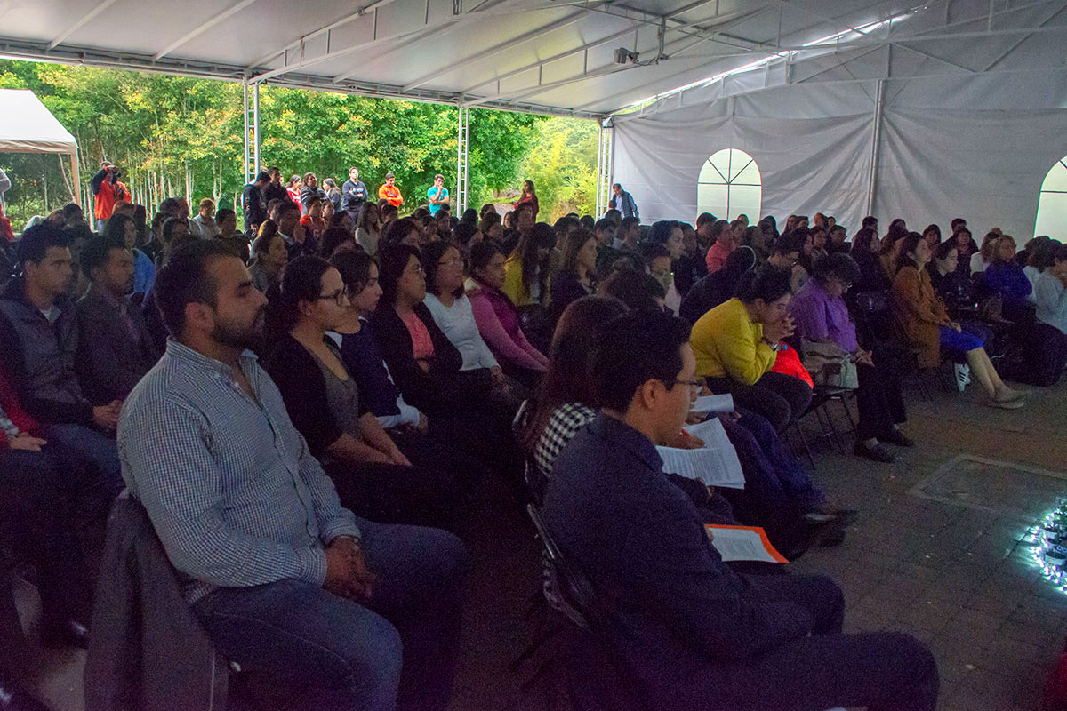 3 / 6 - El Reto Heart of a Lion llega a la Mitad del Camino 3 / 6 - El Reto Heart of a Lion llega a la Mitad del Camino