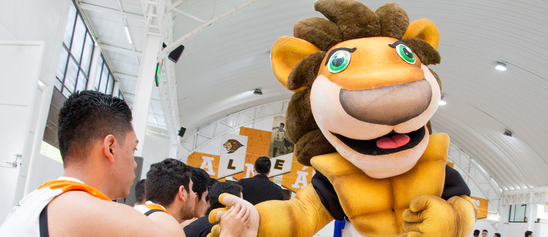 ¡Leones Anáhuac Xalapa imparables!