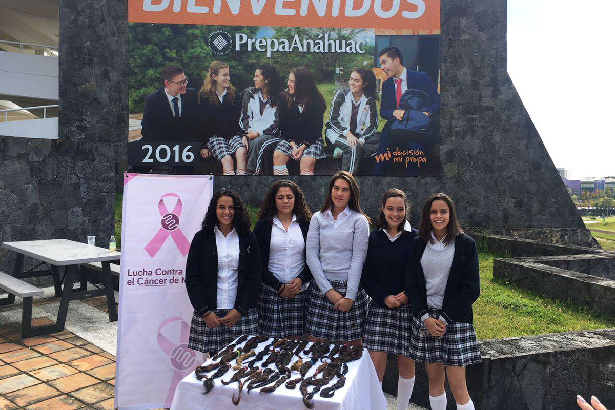 4 / 5 - Trenzatón 2016 4 / 5 - Trenzatón 2016