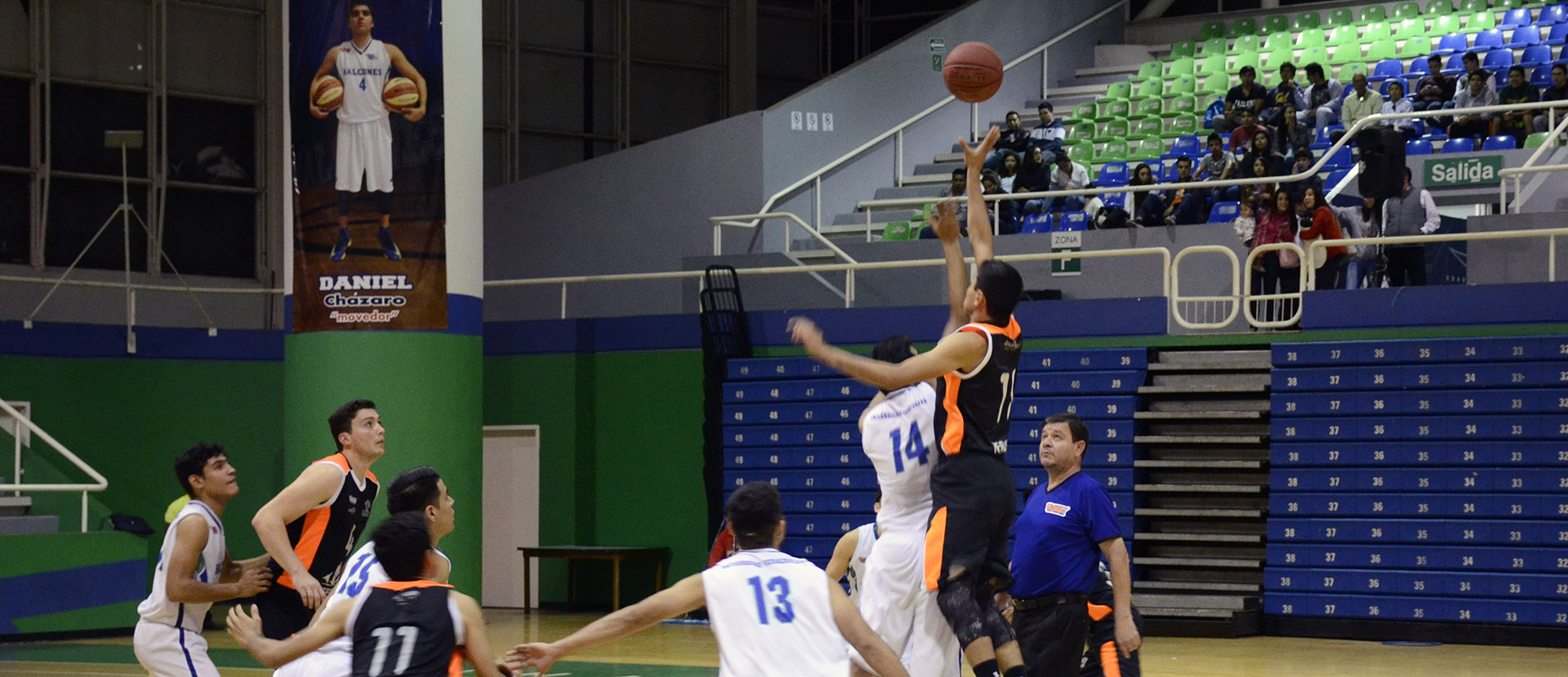 Leones triunfan sobre los Halcones