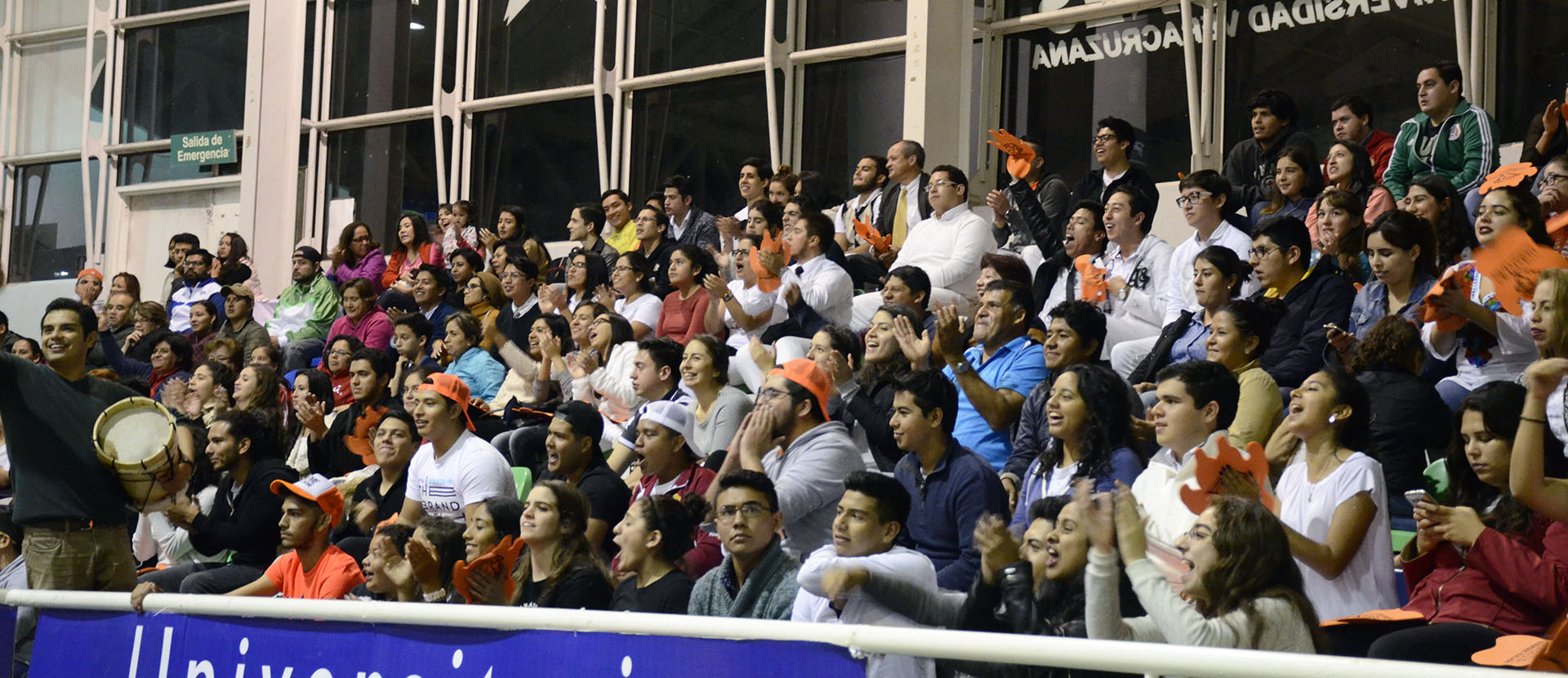 Leones triunfan sobre los Halcones