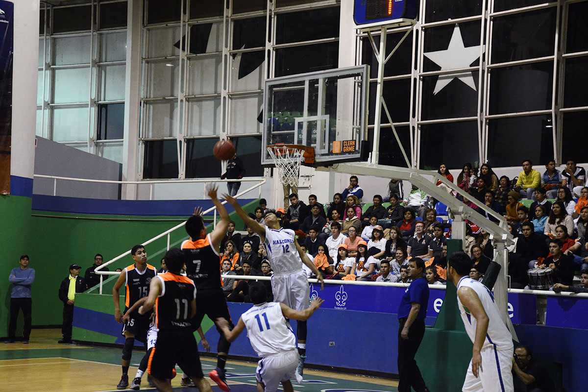 2 / 8 - Leones triunfan sobre los Halcones