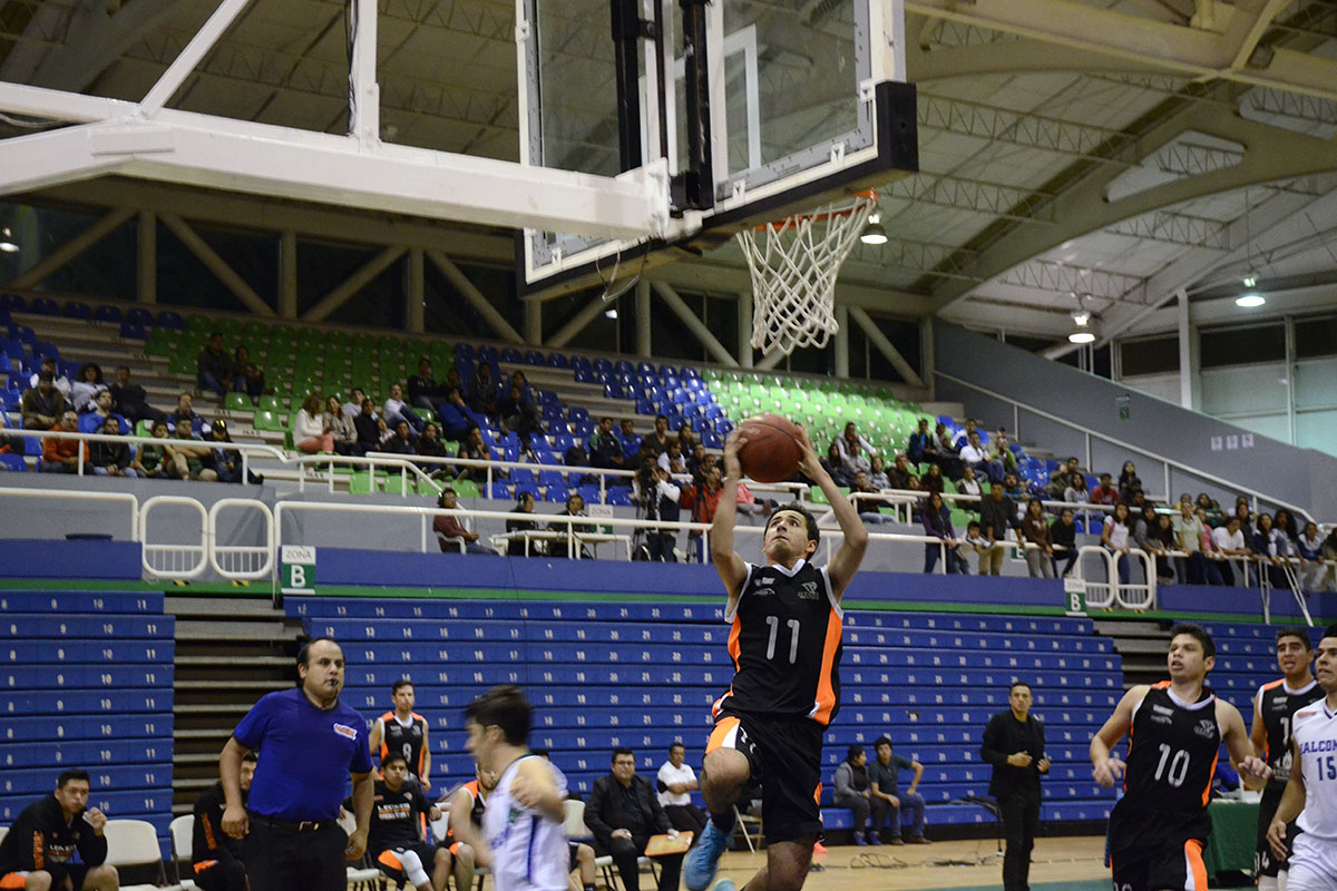 7 / 8 - Leones triunfan sobre los Halcones