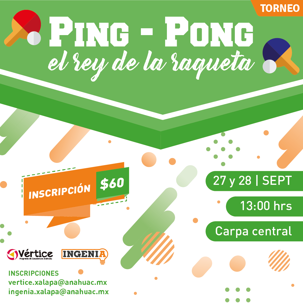 Cerrar vista en pantalla completa Ping-Pong el Rey de la Raqueta
