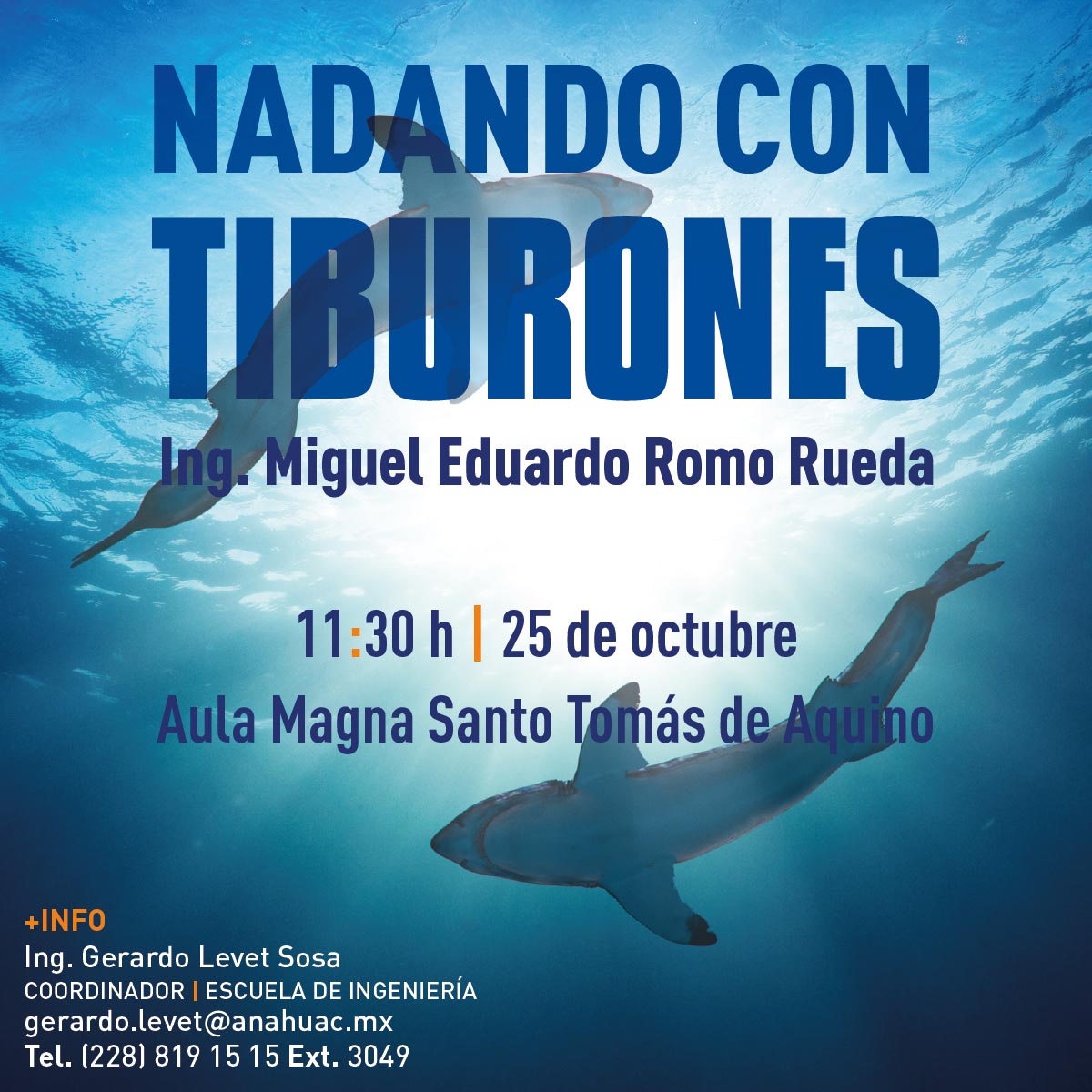Nadando con Tiburones Nadando con Tiburones