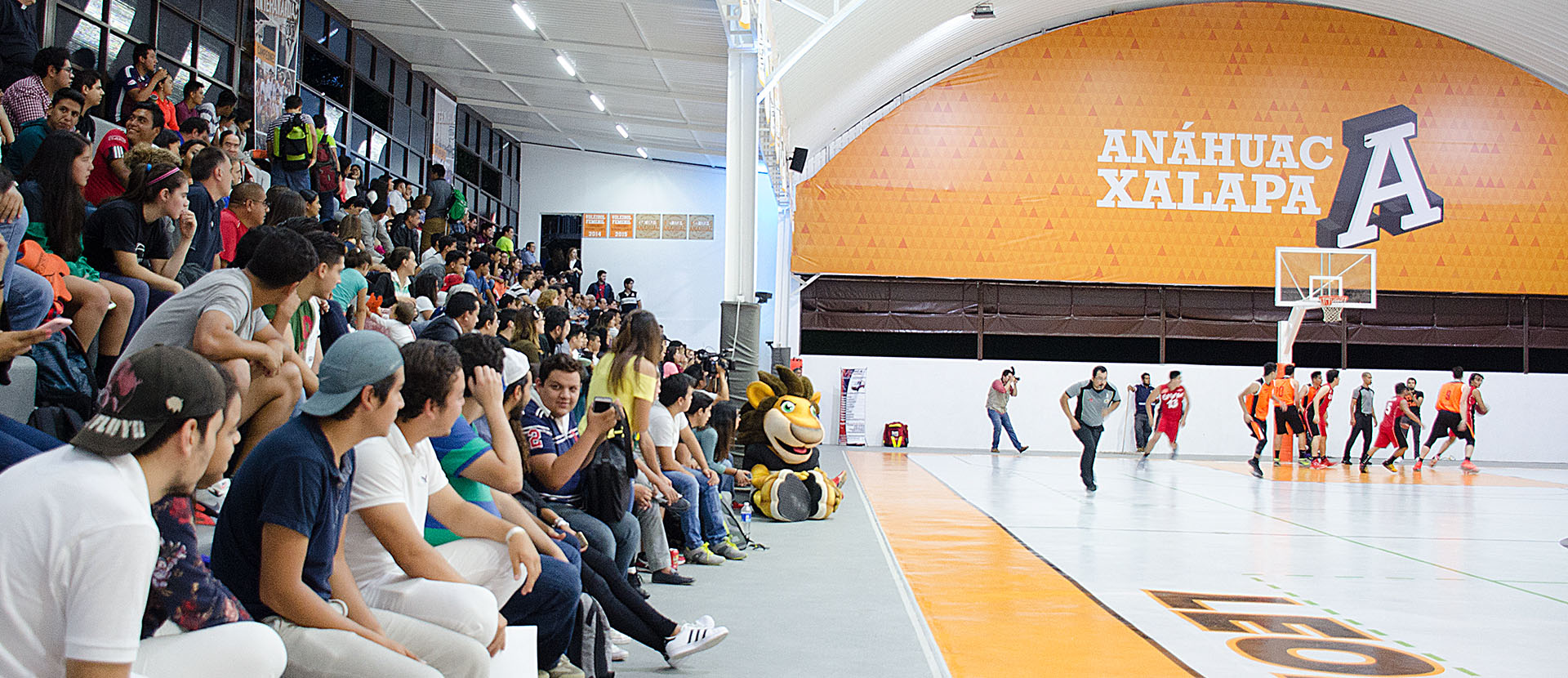 Leones inician con triunfo en la Liga ABE