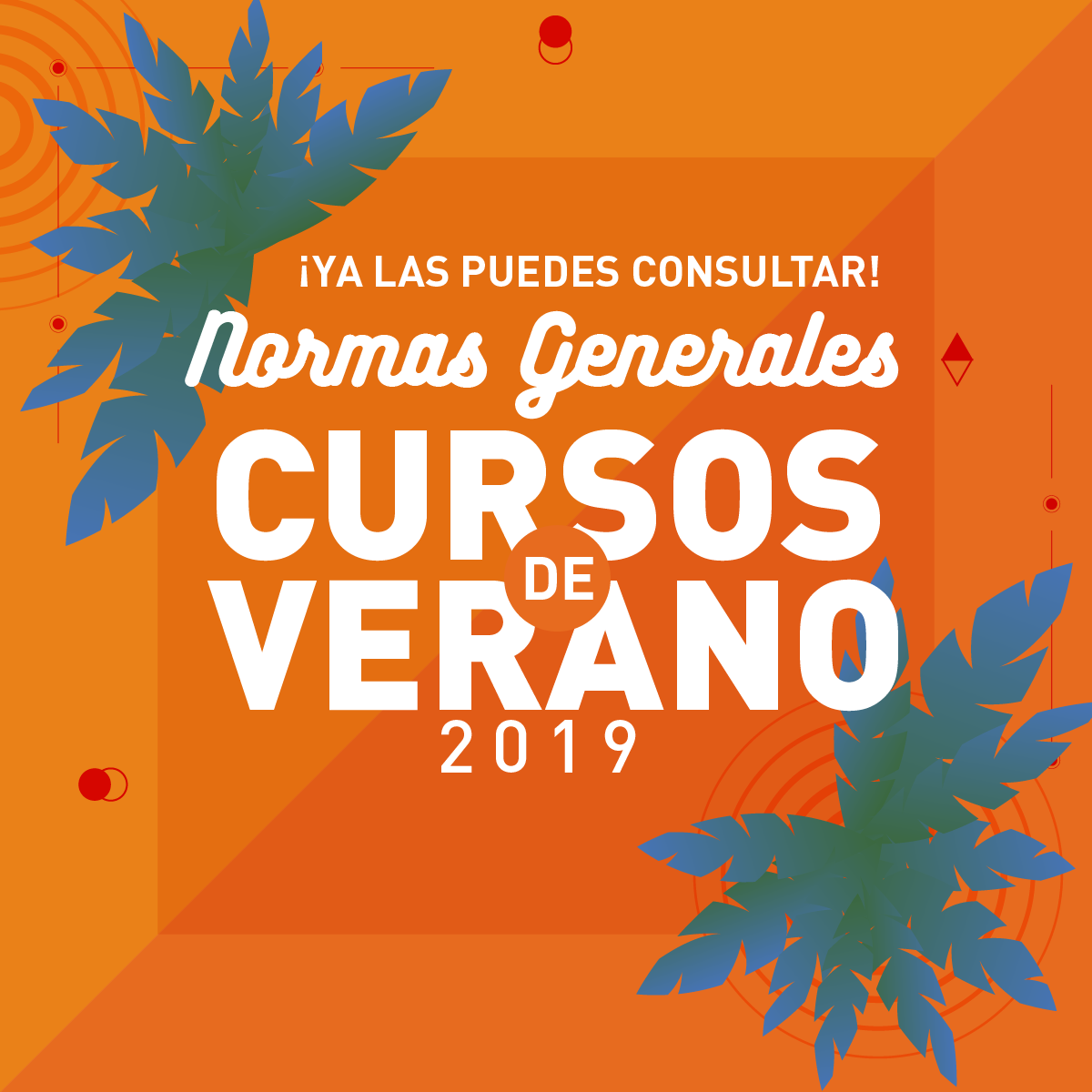 Información para Cursos de Verano 2019 Información para Cursos de Verano 2019