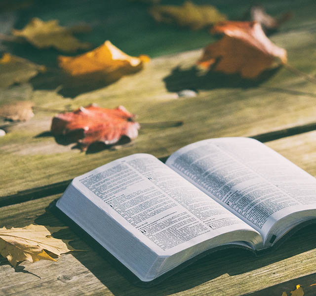 Adquisiciones de Biblioteca Agosto 2019