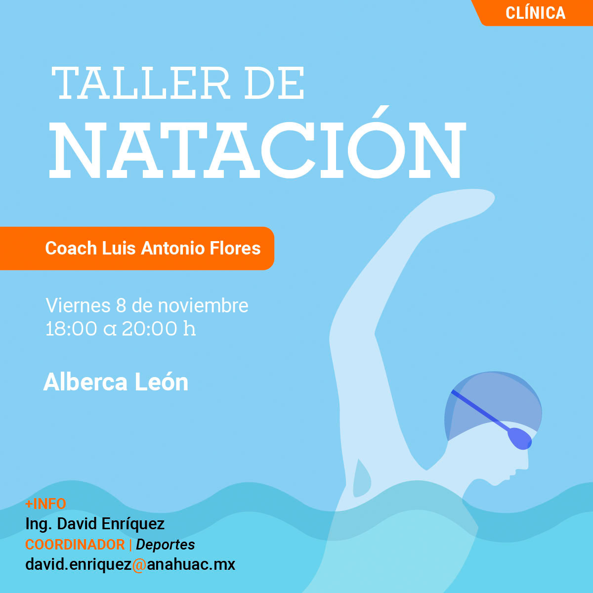 Taller de Natación Taller de Natación