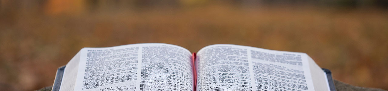 Adquisiciones de Biblioteca en Noviembre de 2019